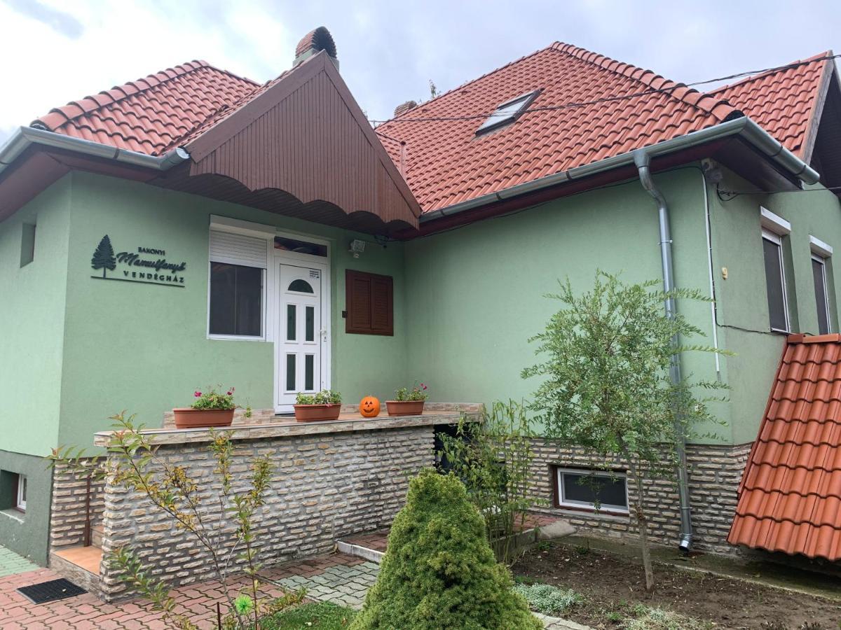 Bakonyi Mamutfenyo Vendeghaz Apartment Tés Exterior foto