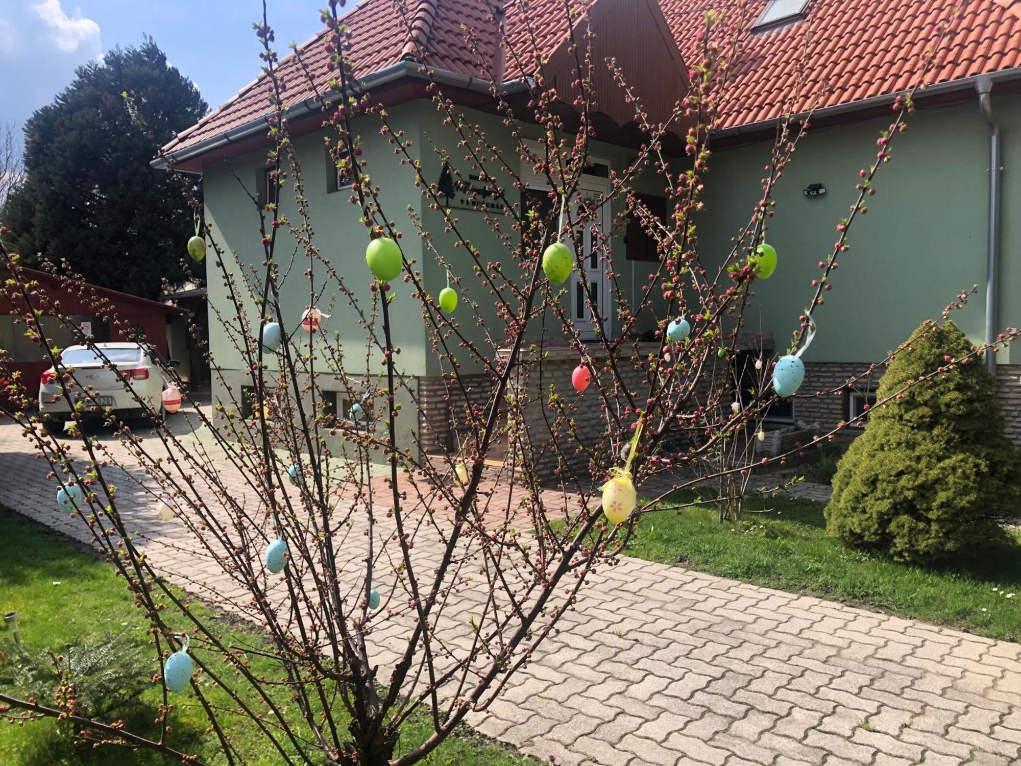 Bakonyi Mamutfenyo Vendeghaz Apartment Tés Exterior foto